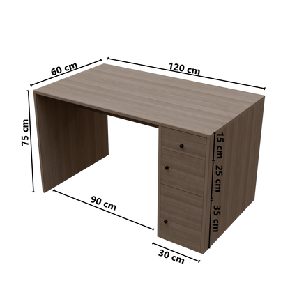 Jimmy Computer Table With Storage By Riyan Luxiwood.