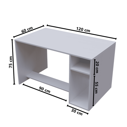 Gloria Computer Table Open With Storage By Riyan Luxiwood.