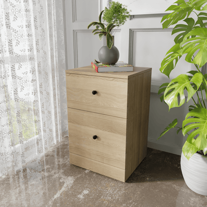 Chest of 2 Drawers by Riyan Luxiwood.