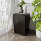 Chest of 2 Drawers by Riyan Luxiwood.